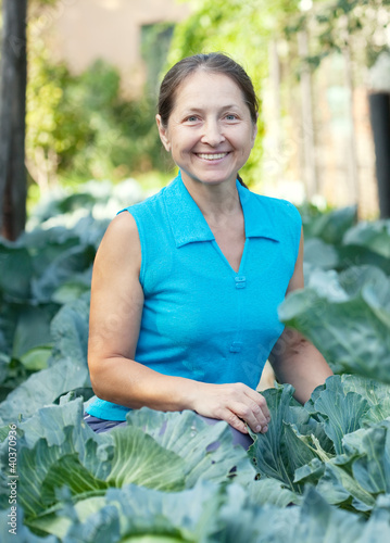 Photo: woman in plant of cabbage woman in plant of cabbage
