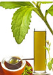 Stevia rebaudiana, Zuckerersatz