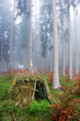 hut