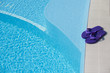 Purple slippers by pool