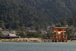 The Floating Torii, Miyajima, Japan The Floating Torii, Miyajima, Japan