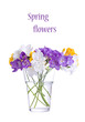 Fresh fresia flowers