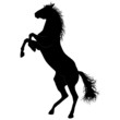 Pferd Silhouette