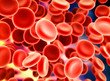 Illustration: Blood Blood