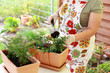 Photo en ligne au meilleur prix Replanting