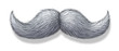 White Mustache