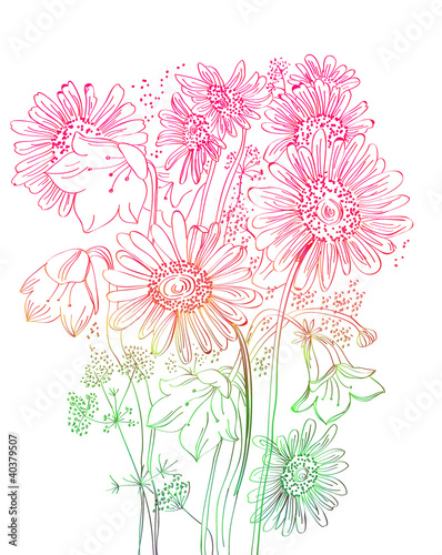 Illustration: wild flowers background wild flowers background