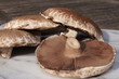 Portobello Mushrooms