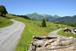Road in the Alps mountains near Morzine in France Road in the Alps mountains near Morzine in France
