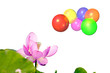 multicolored balloons for background