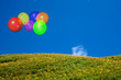 Beautiful balloon with blue sky and flower