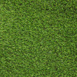 Artificial Grass