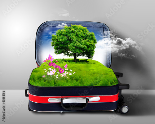 Green Suitcase on Red Suitcase With Green Nature Inside    Sergej Khackimullin  40388186