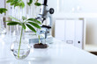 Green plants in biology laborotary