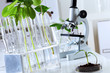 Green plants in biology laborotary