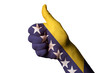 bosnia herzegovina national flag thumb up gesture for excellence