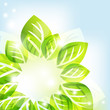 Abstract background with green leaves
