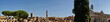 Siena