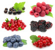 Sweet berries