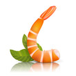 Vector Shrimp