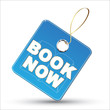 BOOK NOW ICON