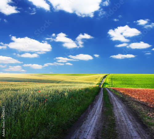 Foto: field field