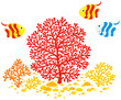 Corals and fishes