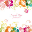 hibiscus background