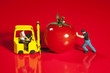 Miniatur Arbeiter schiebt eine Tomate auf einen Gabelstapler
