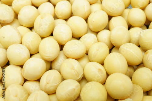 Foto: soy bean pattern as background soy bean pattern as background