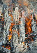 Aflame wood 1