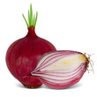 Onion