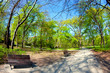 Spring time in park