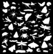 set of insects silhouettes isolated on black