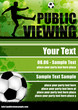 Public Viewing