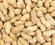 peanut background