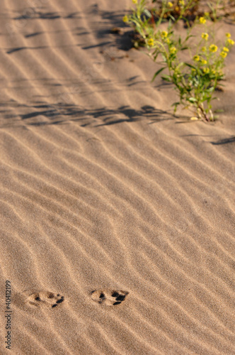 Photo: texture texture