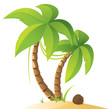 Palm trees