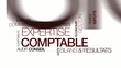 Expertise comptable expert financier nuage de tags