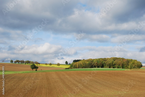 Foto: Herbststimmung Herbststimmung