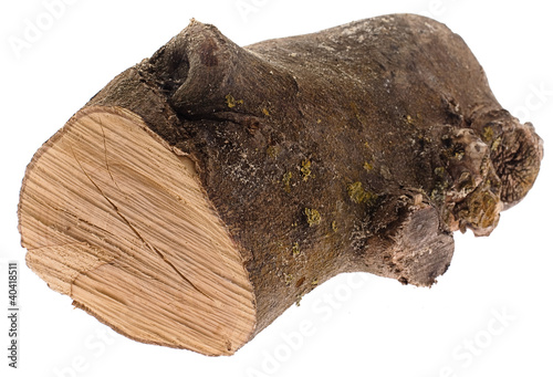 Photo: log log