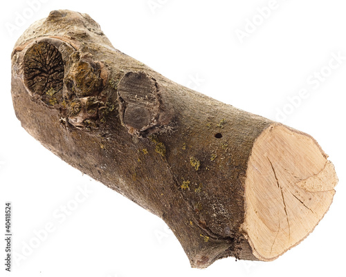 Photo: log log