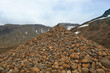 ginger rocks