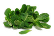 Foto: feldsalat feldsalat