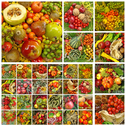 Photo: fall collage fall collage