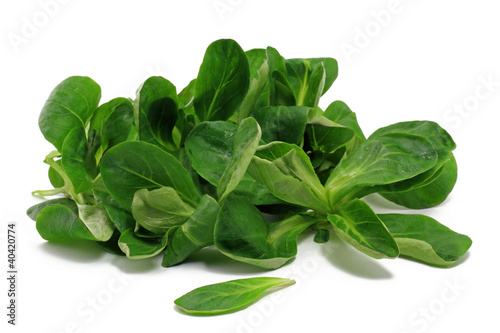 Foto: feldsalat feldsalat