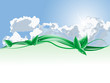 Clouds and leaves