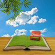 Red chair on grass in the open book