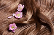 Beautiful Healthy Shiny Hair W...