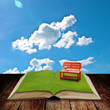 Open book to the garden for rest